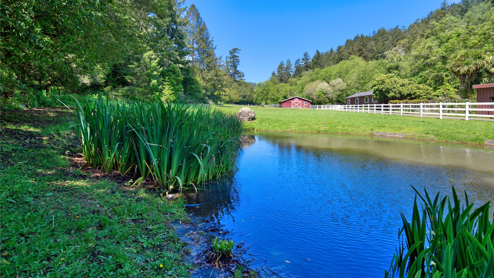 460 Acre Getaway In Sonoma Wine Country