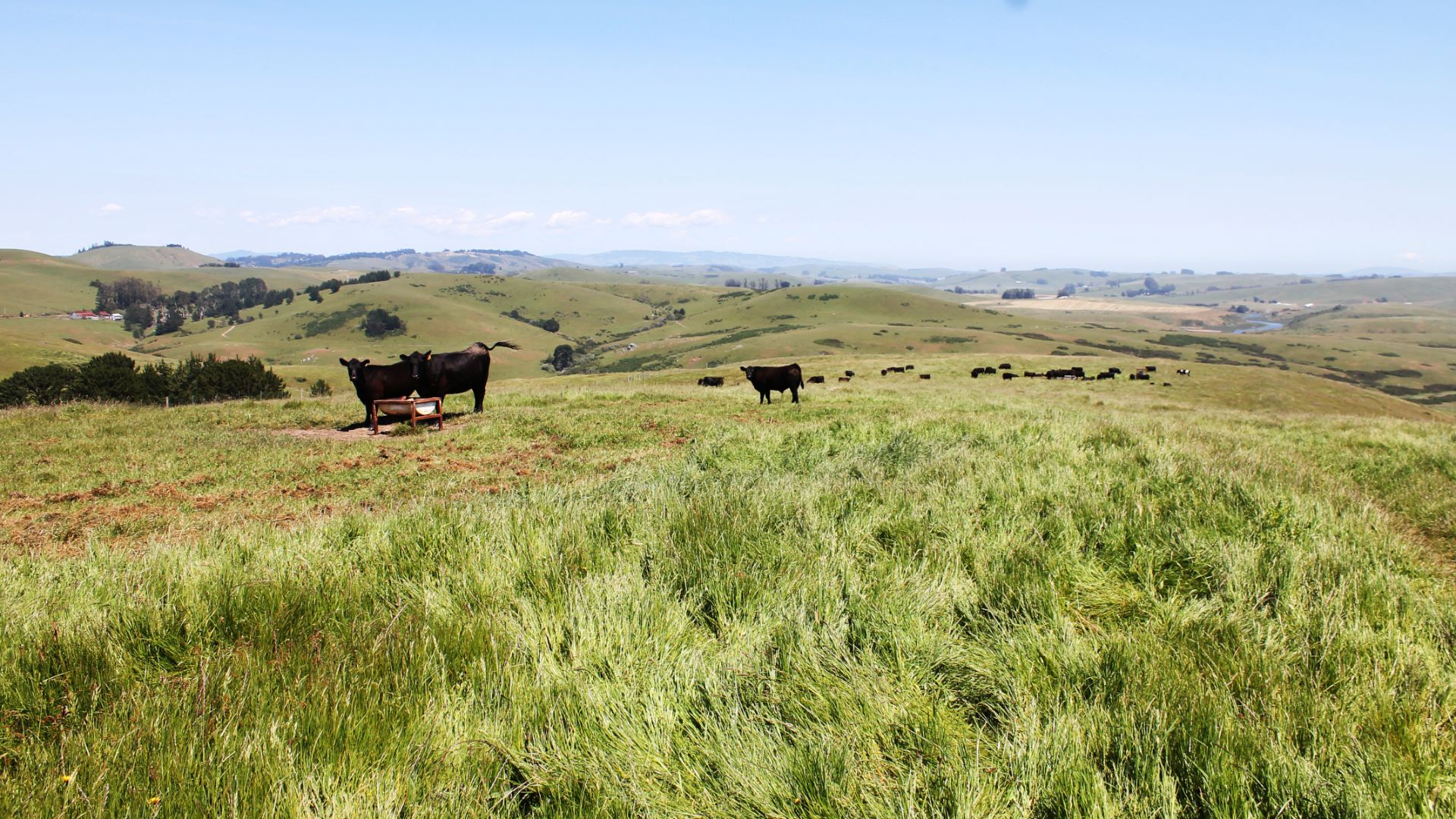 460 Acre Getaway In Sonoma Wine Country