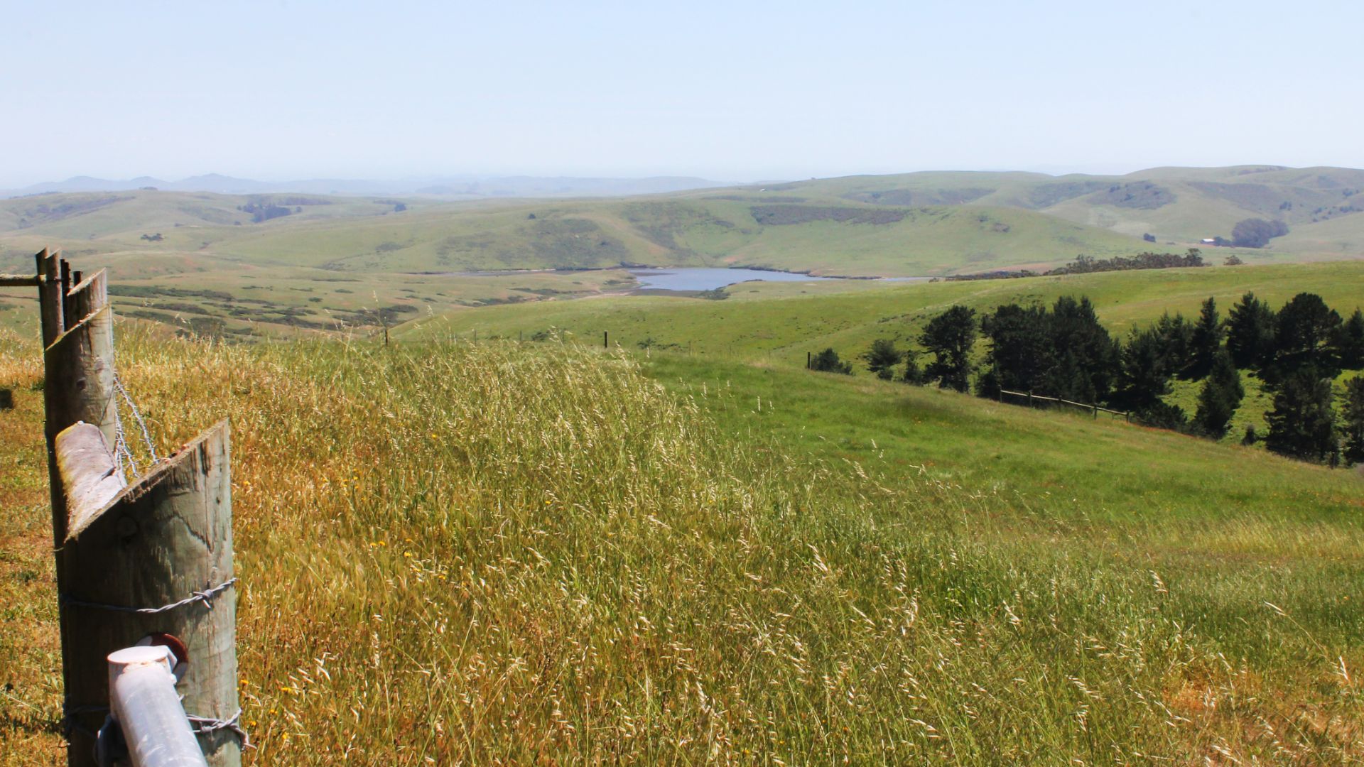 460 Acre Getaway In Sonoma Wine Country