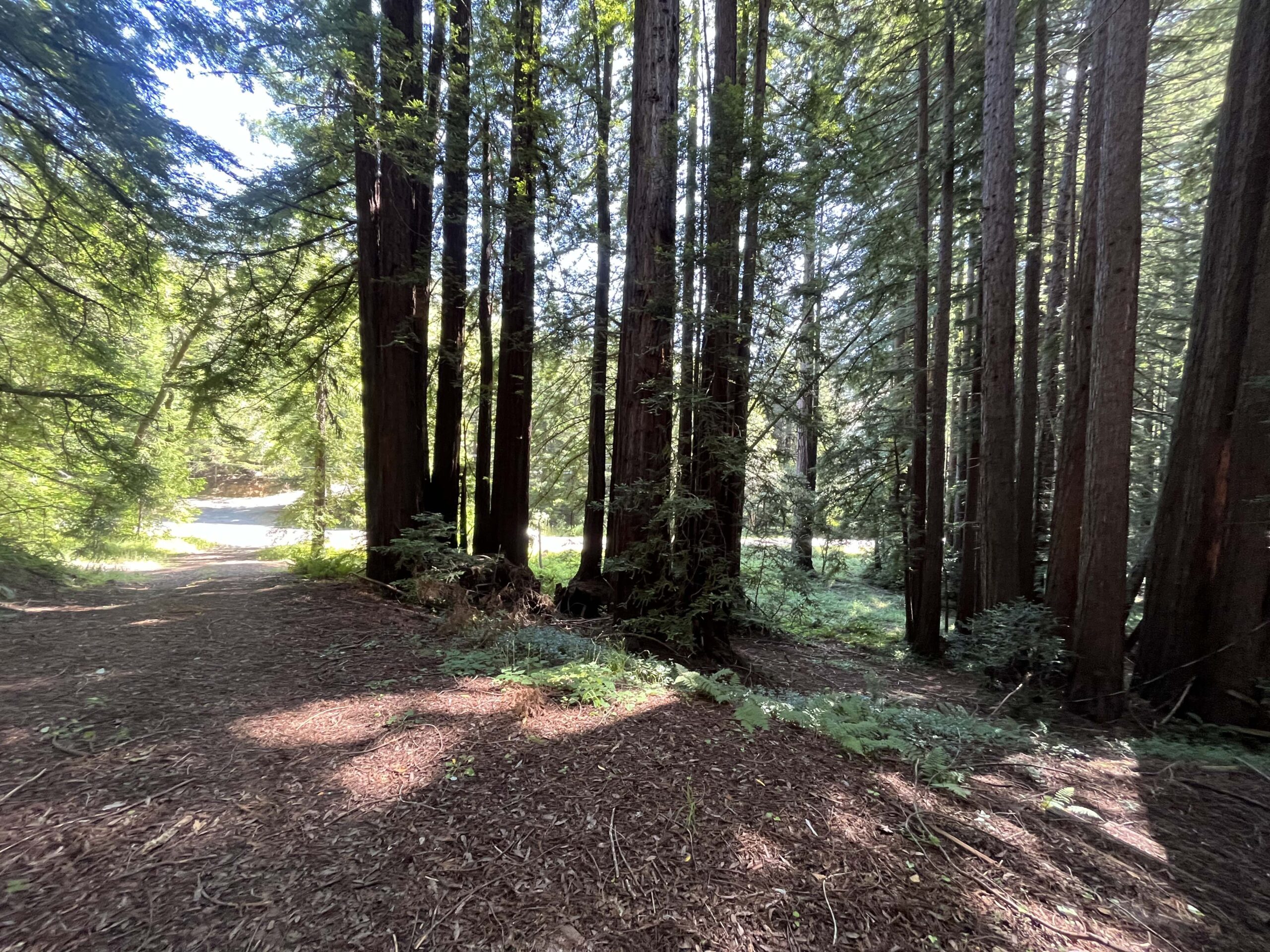 145 Acre Getaway In Sonoma Wine Country